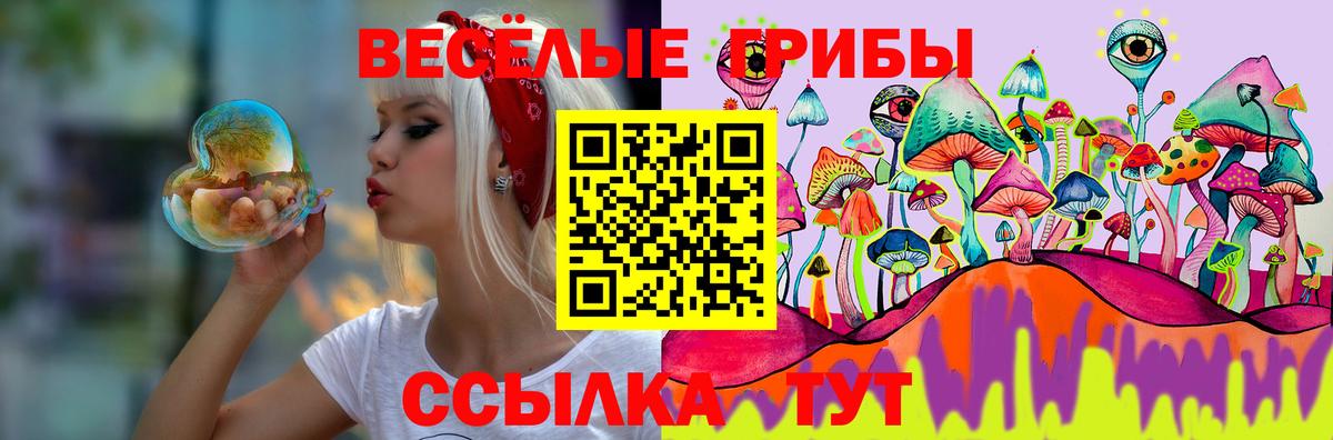 Псилоцибиновые грибы GOLDEN TEACHER Майский