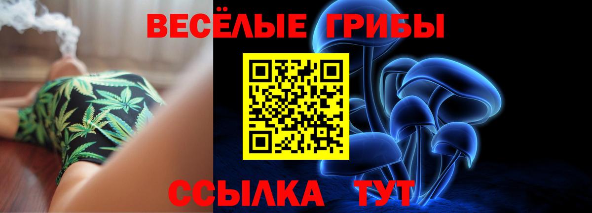 Майский  Псилоцибиновые грибы мухоморы  Вход с VPN 