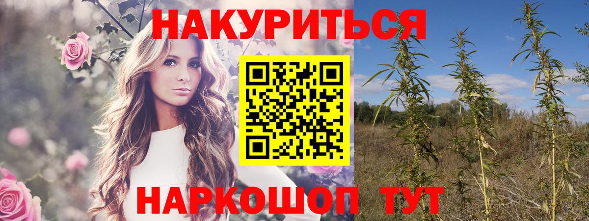 Бошки Шишки индика  Вход с VPN  Майский  Конопля гибрид  Марихуана SATIVA & INDICA 